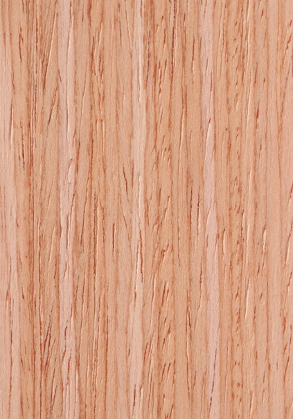 H8213 紅橡木直紋