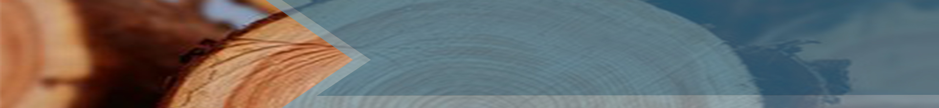 生態(tài)板廠(chǎng)家,生態(tài)板品牌,生態(tài)板十大品牌 生態(tài)板廠(chǎng)家,生態(tài)板品牌,生態(tài)板十大品牌