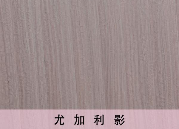 洪寬木業(yè)的生態(tài)板是否環(huán)保呢？