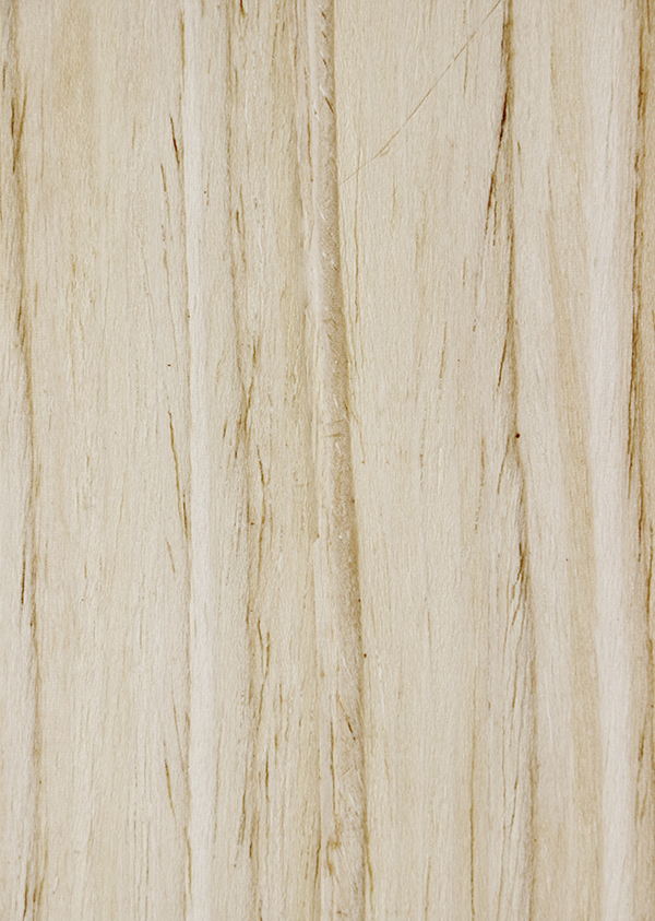 H8359F 梧桐木直紋