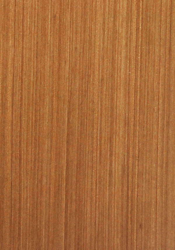 K6249 柚木直紋